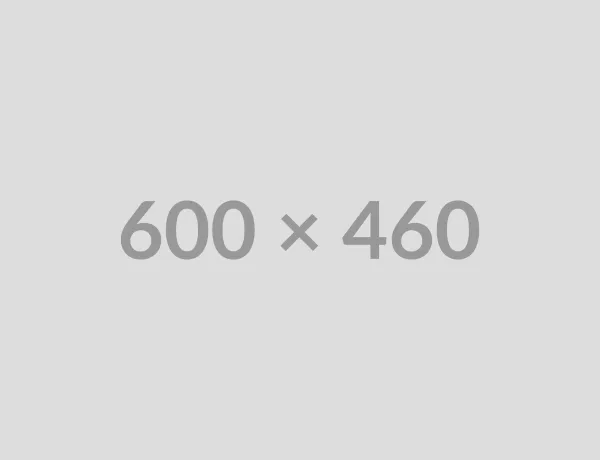 Article about web design trends for 2025